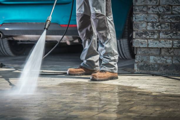 Best Roof Washing  in Pineland, TX
