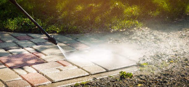 Concrete Sealing in Pineland, TX